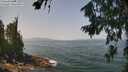 ./images/koeye/fitz-hugh/20260721/fitz-hugh20260721_122002M.jpg