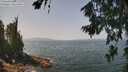 ./images/koeye/fitz-hugh/20260721/fitz-hugh20260721_123501M.jpg