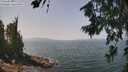 ./images/koeye/fitz-hugh/20260721/fitz-hugh20260721_124501M.jpg