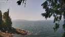 ./images/koeye/fitz-hugh/20260721/fitz-hugh20260721_125002M.jpg