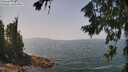 ./images/koeye/fitz-hugh/20260721/fitz-hugh20260721_131002M.jpg