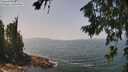./images/koeye/fitz-hugh/20260721/fitz-hugh20260721_131501M.jpg