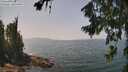 ./images/koeye/fitz-hugh/20260721/fitz-hugh20260721_132501M.jpg