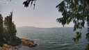./images/koeye/fitz-hugh/20260721/fitz-hugh20260721_133001M.jpg