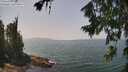 ./images/koeye/fitz-hugh/20260721/fitz-hugh20260721_133502M.jpg