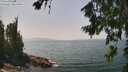 ./images/koeye/fitz-hugh/20260721/fitz-hugh20260721_135002M.jpg