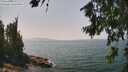 ./images/koeye/fitz-hugh/20260721/fitz-hugh20260721_135501M.jpg