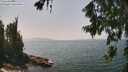 ./images/koeye/fitz-hugh/20260721/fitz-hugh20260721_140001M.jpg
