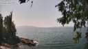 ./images/koeye/fitz-hugh/20260721/fitz-hugh20260721_140501M.jpg