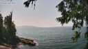 ./images/koeye/fitz-hugh/20260721/fitz-hugh20260721_141502M.jpg