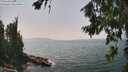 ./images/koeye/fitz-hugh/20260721/fitz-hugh20260721_142501M.jpg