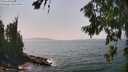 ./images/koeye/fitz-hugh/20260721/fitz-hugh20260721_145001M.jpg