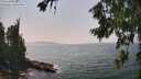./images/koeye/fitz-hugh/20260721/fitz-hugh20260721_145502M.jpg