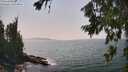 ./images/koeye/fitz-hugh/20260721/fitz-hugh20260721_151001M.jpg