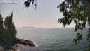 ./images/koeye/fitz-hugh/20260721/fitz-hugh20260721_152002M.jpg