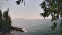 ./images/koeye/fitz-hugh/20260721/fitz-hugh20260721_153002M.jpg