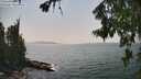 ./images/koeye/fitz-hugh/20260721/fitz-hugh20260721_153501M.jpg