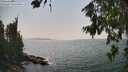 ./images/koeye/fitz-hugh/20260721/fitz-hugh20260721_154001M.jpg