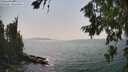 ./images/koeye/fitz-hugh/20260721/fitz-hugh20260721_154501M.jpg
