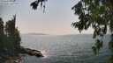./images/koeye/fitz-hugh/20260721/fitz-hugh20260721_155001M.jpg