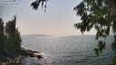./images/koeye/fitz-hugh/20260721/fitz-hugh20260721_161001M.jpg