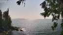 ./images/koeye/fitz-hugh/20260721/fitz-hugh20260721_162502M.jpg