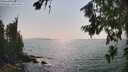 ./images/koeye/fitz-hugh/20260721/fitz-hugh20260721_163501M.jpg