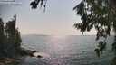 ./images/koeye/fitz-hugh/20260721/fitz-hugh20260721_164001M.jpg