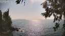 ./images/koeye/fitz-hugh/20260721/fitz-hugh20260721_170502M.jpg