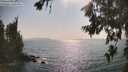 ./images/koeye/fitz-hugh/20260721/fitz-hugh20260721_171001M.jpg