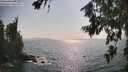 ./images/koeye/fitz-hugh/20260721/fitz-hugh20260721_171501M.jpg