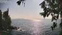 ./images/koeye/fitz-hugh/20260721/fitz-hugh20260721_172501M.jpg