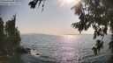 ./images/koeye/fitz-hugh/20260721/fitz-hugh20260721_173501M.jpg