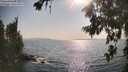 ./images/koeye/fitz-hugh/20260721/fitz-hugh20260721_174002M.jpg