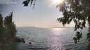 ./images/koeye/fitz-hugh/20260721/fitz-hugh20260721_174501M.jpg
