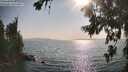 ./images/koeye/fitz-hugh/20260721/fitz-hugh20260721_175001M.jpg