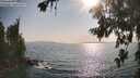 ./images/koeye/fitz-hugh/20260721/fitz-hugh20260721_175501M.jpg