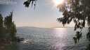 ./images/koeye/fitz-hugh/20260721/fitz-hugh20260721_180001M.jpg