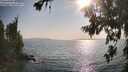 ./images/koeye/fitz-hugh/20260721/fitz-hugh20260721_180501M.jpg