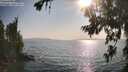./images/koeye/fitz-hugh/20260721/fitz-hugh20260721_181001M.jpg