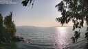 ./images/koeye/fitz-hugh/20260721/fitz-hugh20260721_182002M.jpg