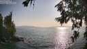 ./images/koeye/fitz-hugh/20260721/fitz-hugh20260721_182502M.jpg