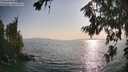 ./images/koeye/fitz-hugh/20260721/fitz-hugh20260721_183001M.jpg