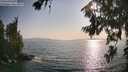 ./images/koeye/fitz-hugh/20260721/fitz-hugh20260721_183501M.jpg