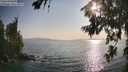 ./images/koeye/fitz-hugh/20260721/fitz-hugh20260721_184001M.jpg