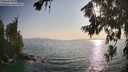 ./images/koeye/fitz-hugh/20260721/fitz-hugh20260721_185001M.jpg