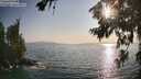 ./images/koeye/fitz-hugh/20260721/fitz-hugh20260721_185501M.jpg