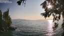 ./images/koeye/fitz-hugh/20260721/fitz-hugh20260721_190501M.jpg