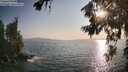 ./images/koeye/fitz-hugh/20260721/fitz-hugh20260721_191001M.jpg