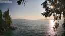./images/koeye/fitz-hugh/20260721/fitz-hugh20260721_191501M.jpg